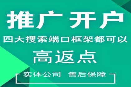 百度竞价推广在电商领域的赚钱案例